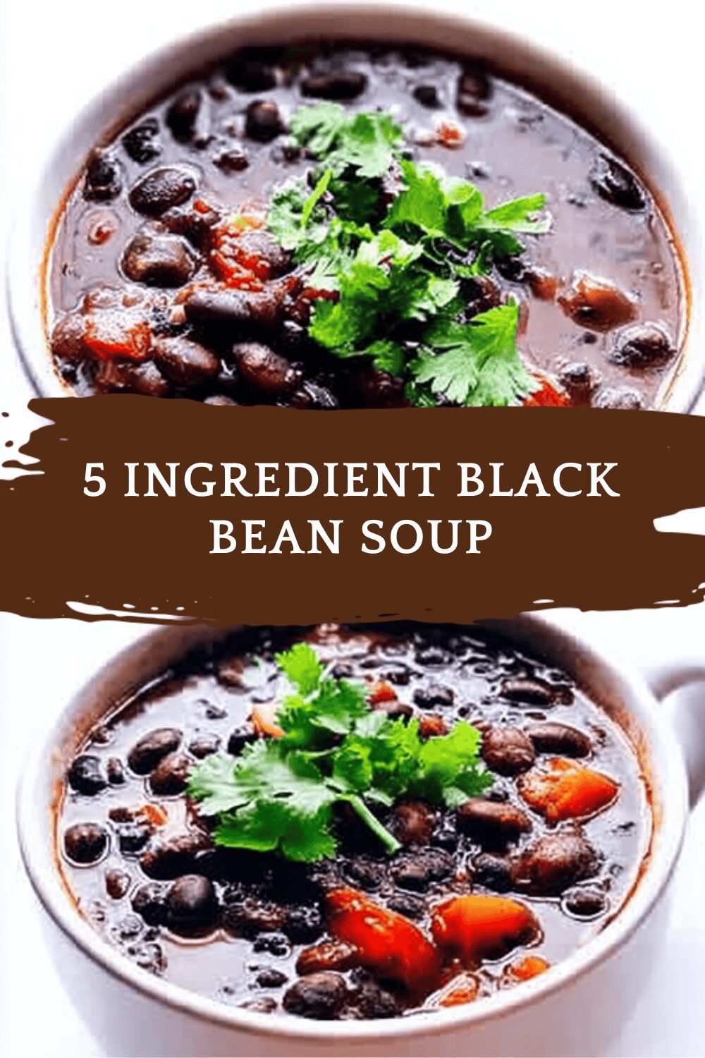 5 Ingredient Black Bean Soup