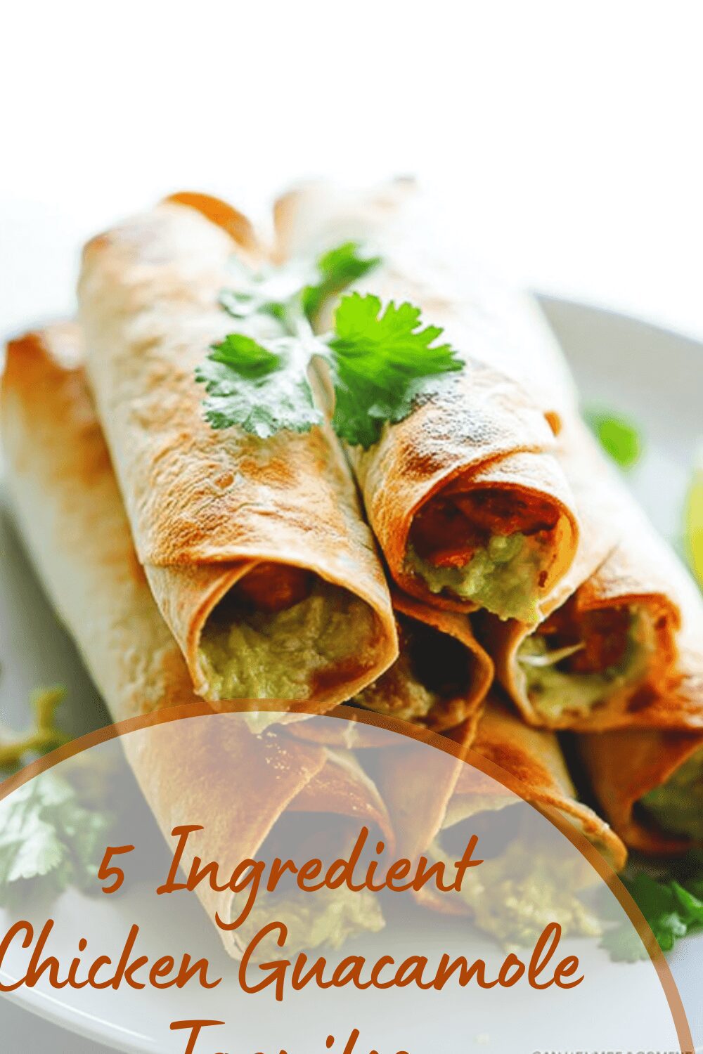 5 Ingredient Chicken Guacamole Taquitos