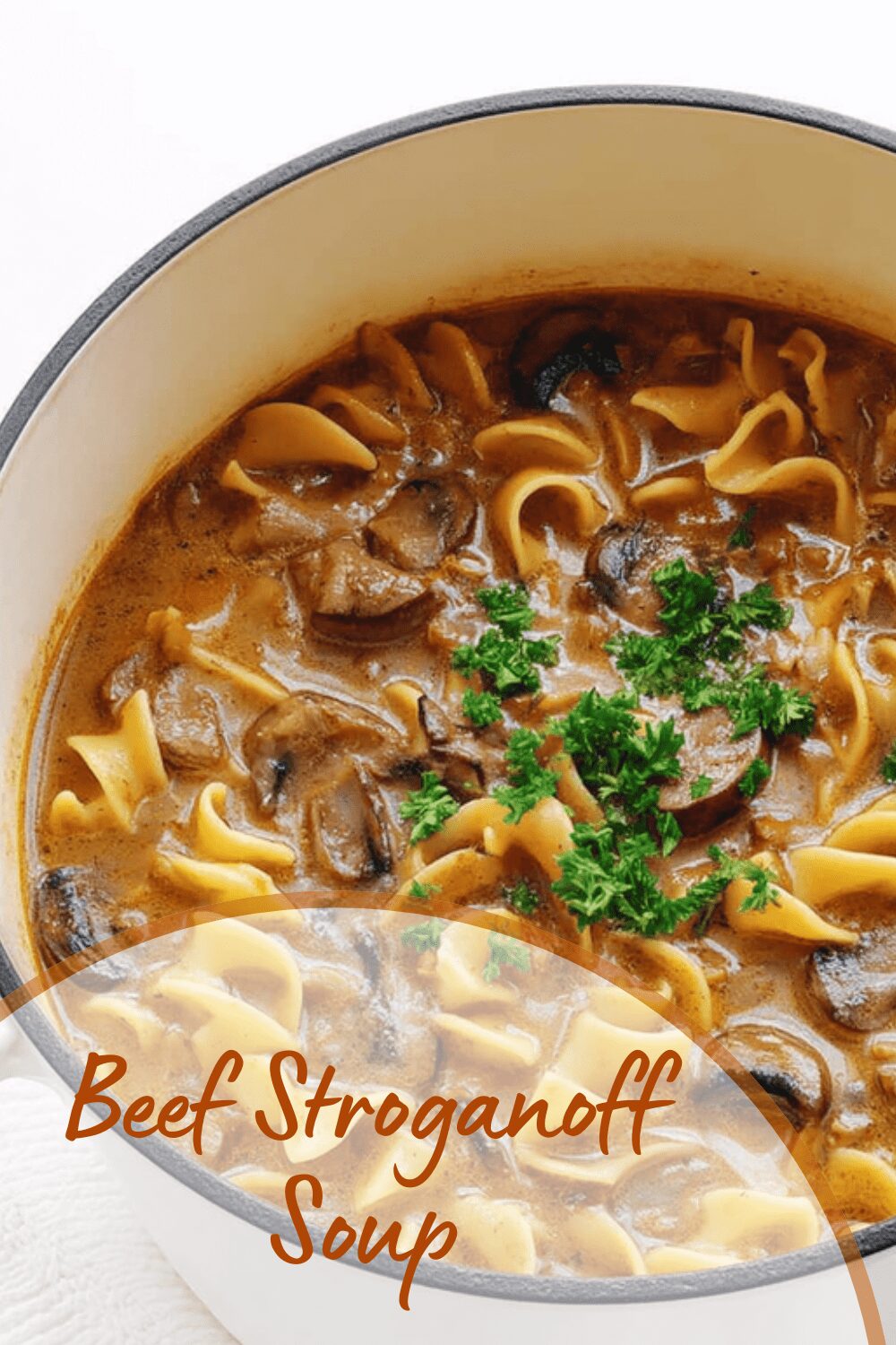 Beef Stroganoff Soup