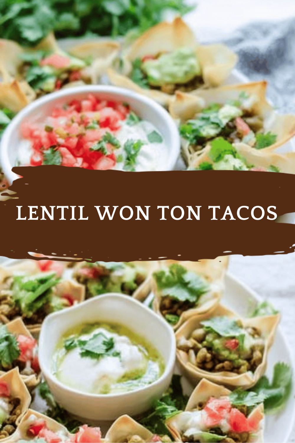 Lentil Won Ton Tacos