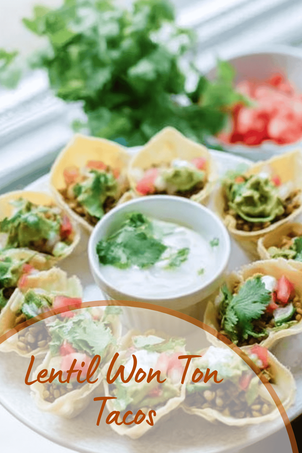 Lentil Won Ton Tacos