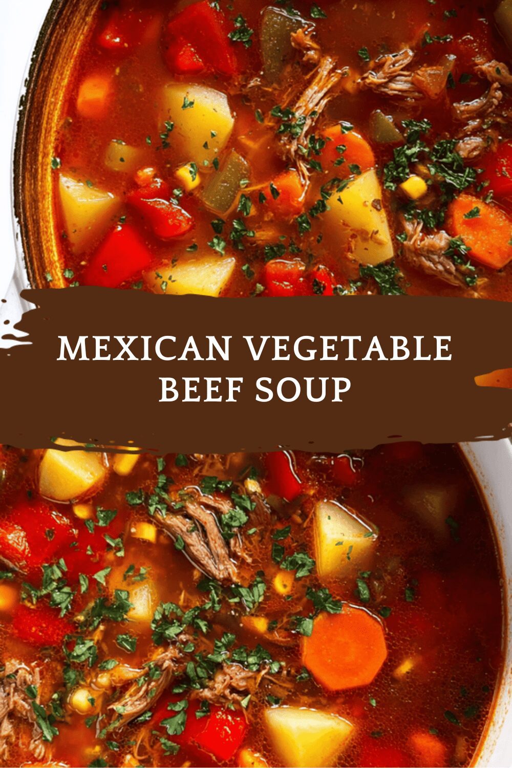 Mexican Vegetable Beef Soup