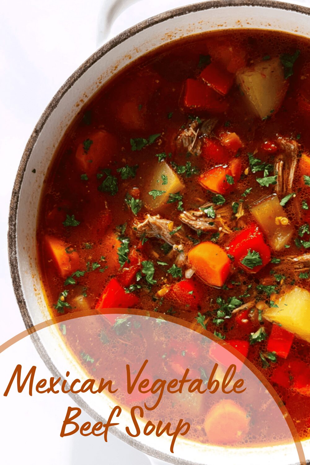 Mexican Vegetable Beef Soup