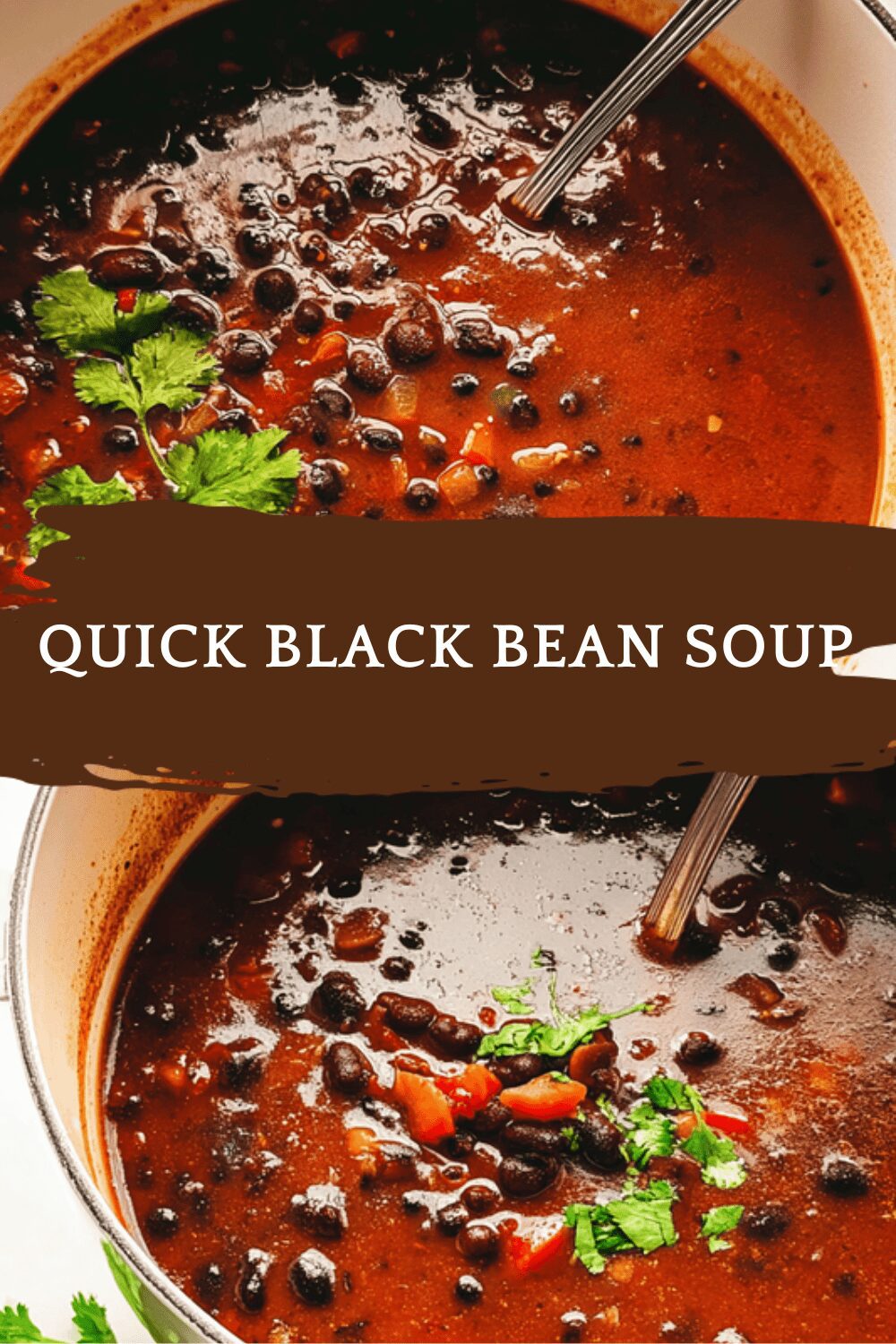 Quick Black Bean Soup
