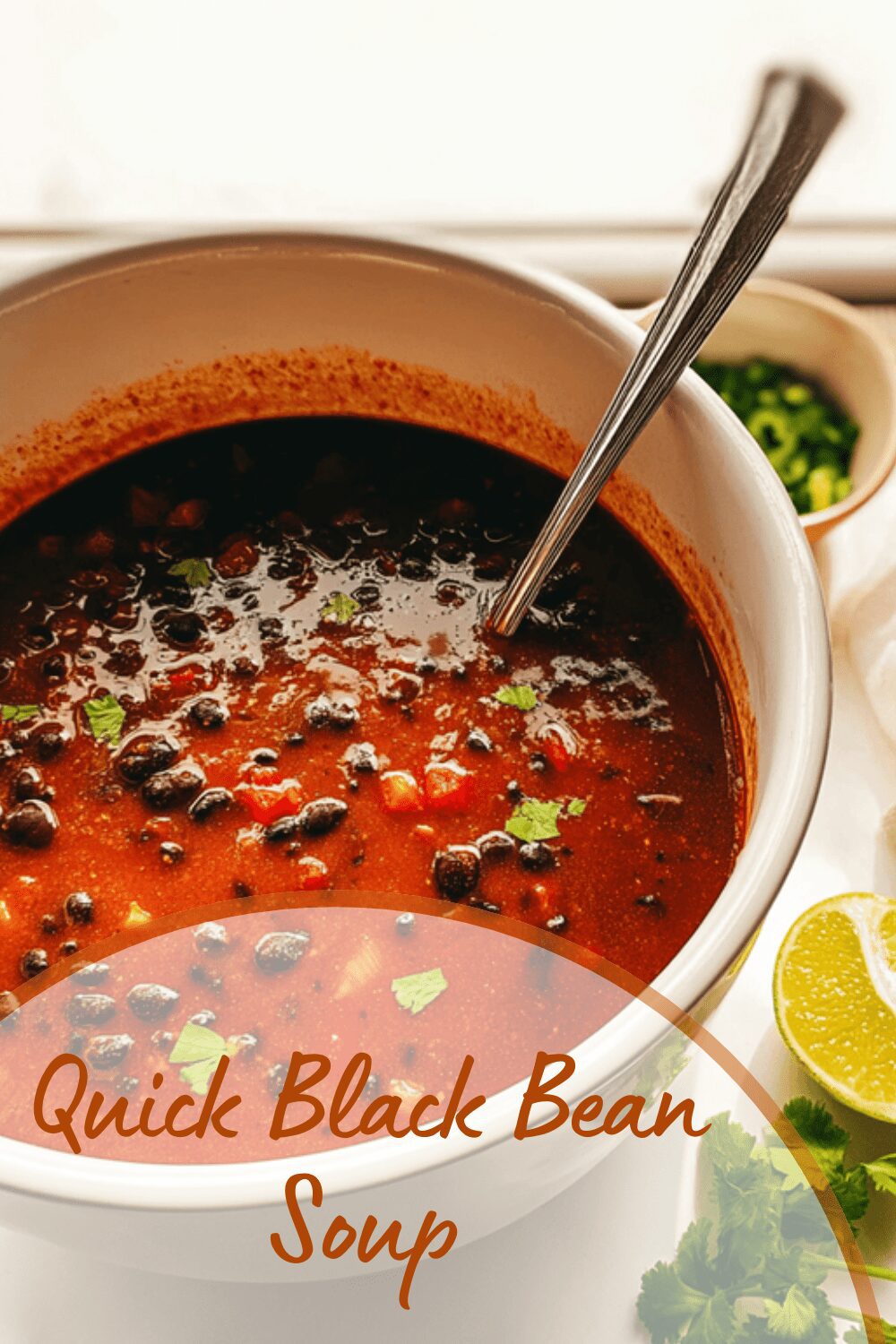 Quick Black Bean Soup