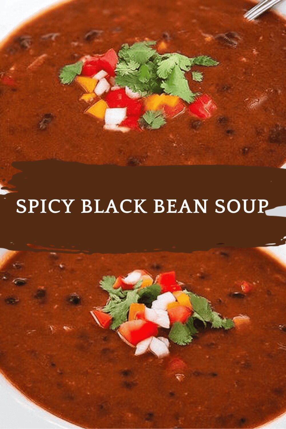 Spicy Black Bean Soup