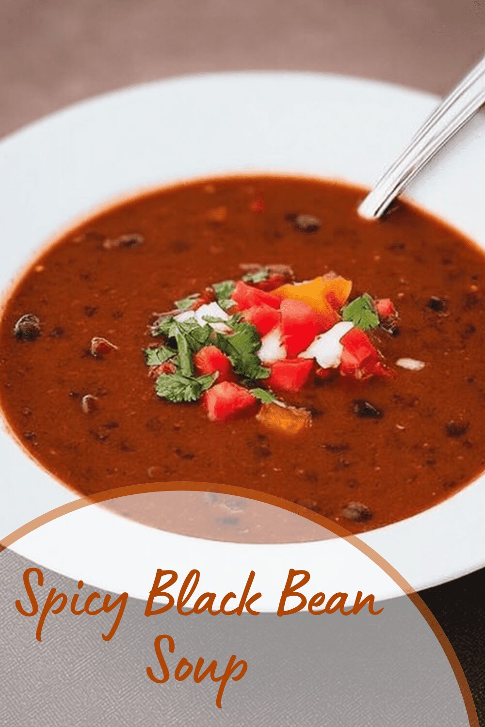 Spicy Black Bean Soup