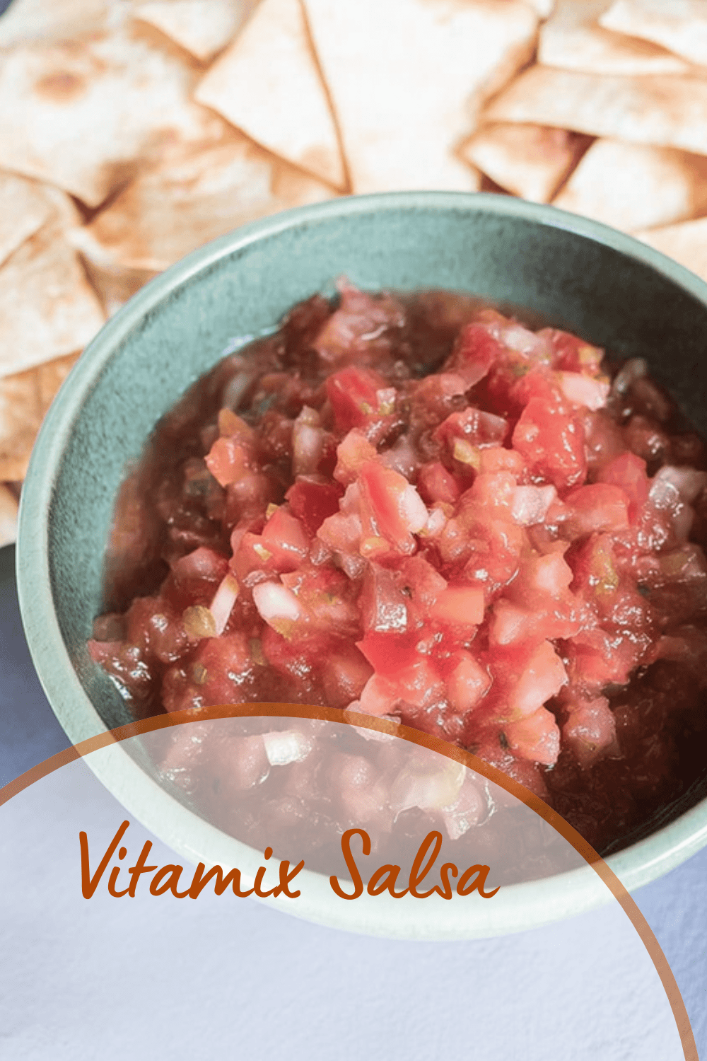 Vitamix Salsa