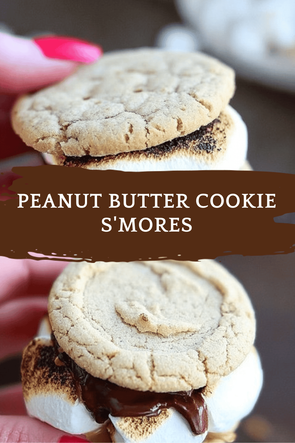 Peanut Butter Cookie S'Mores