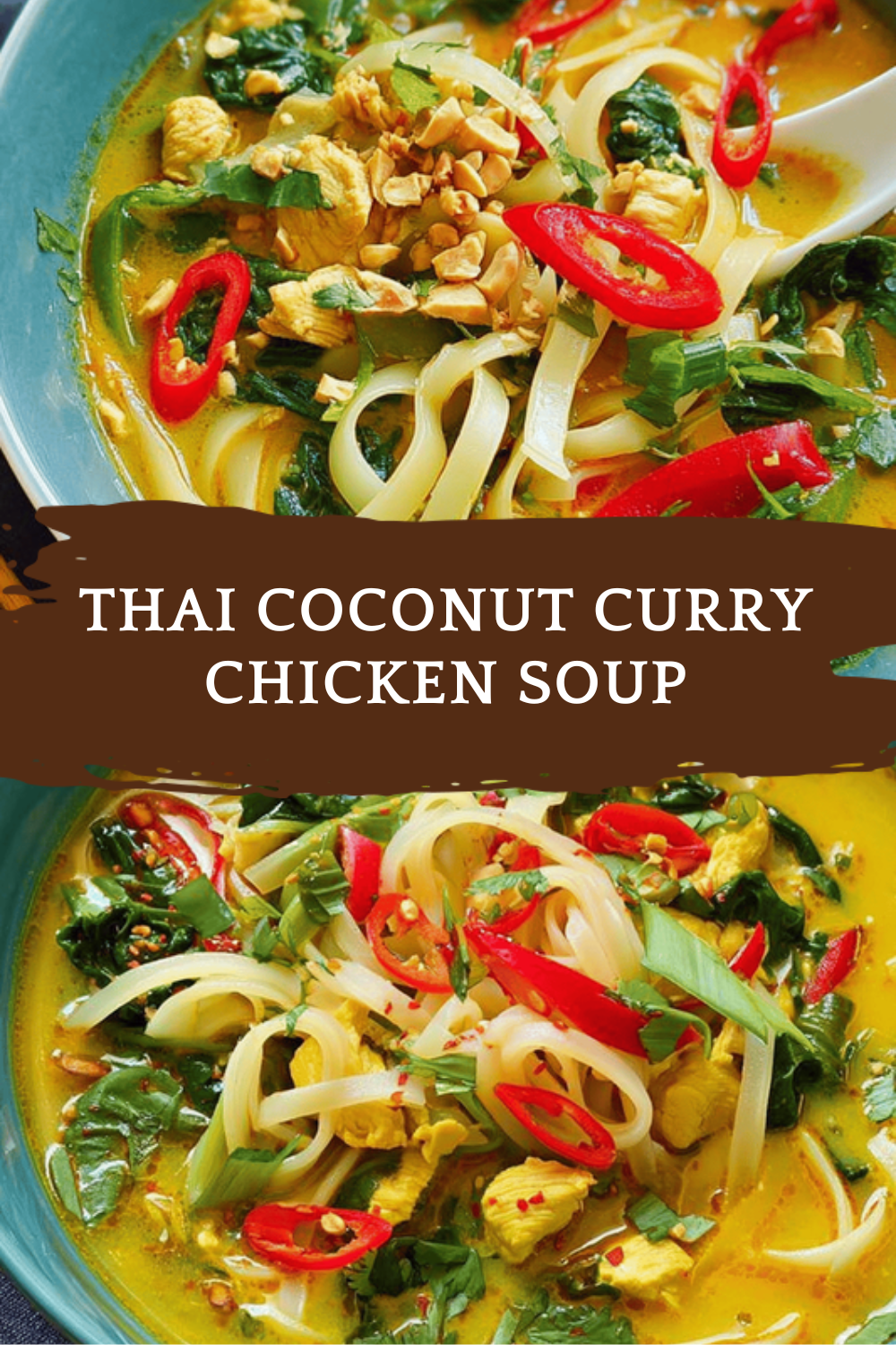 Thai Coconut Curry Chicken Soup