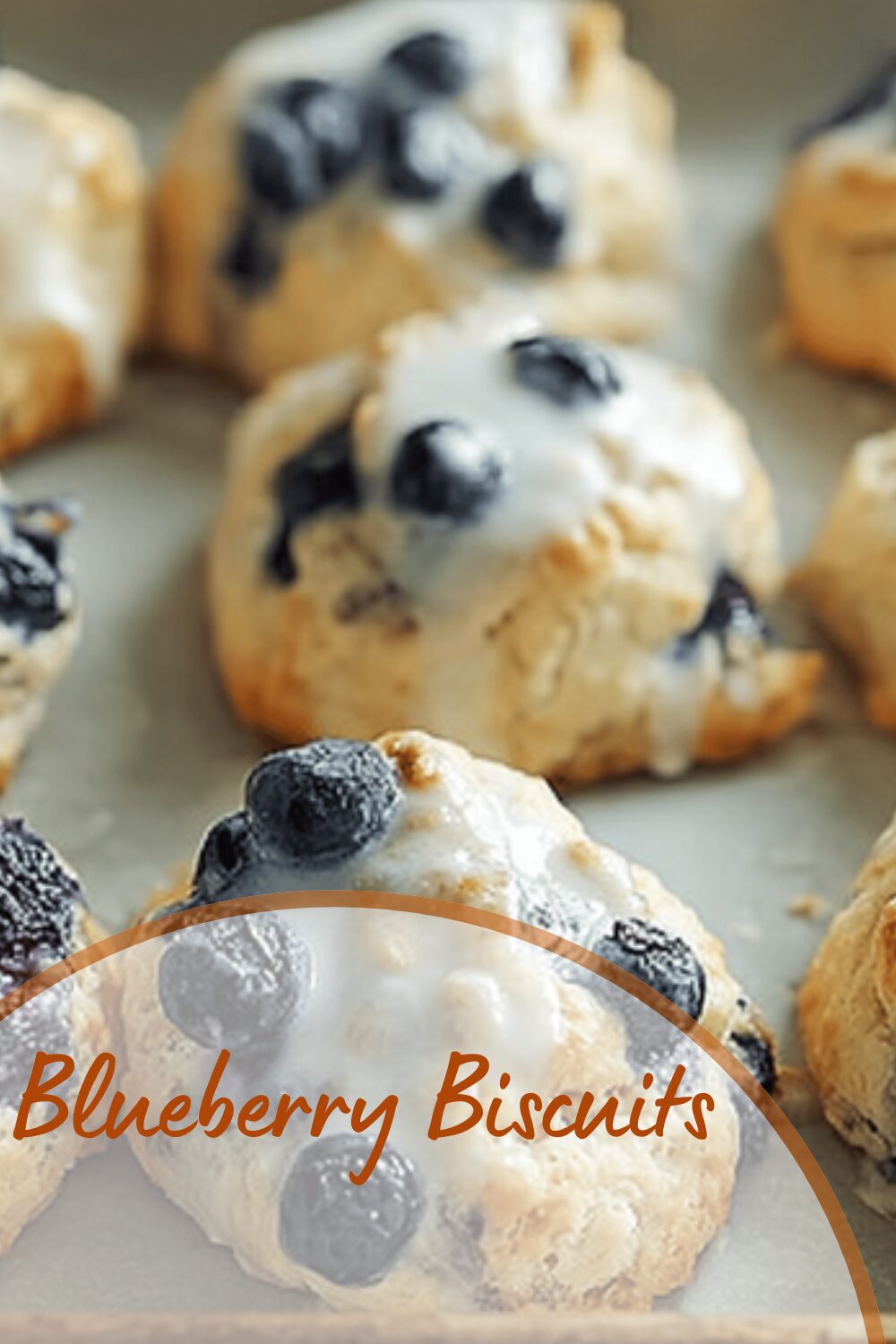 Blueberry Biscuits