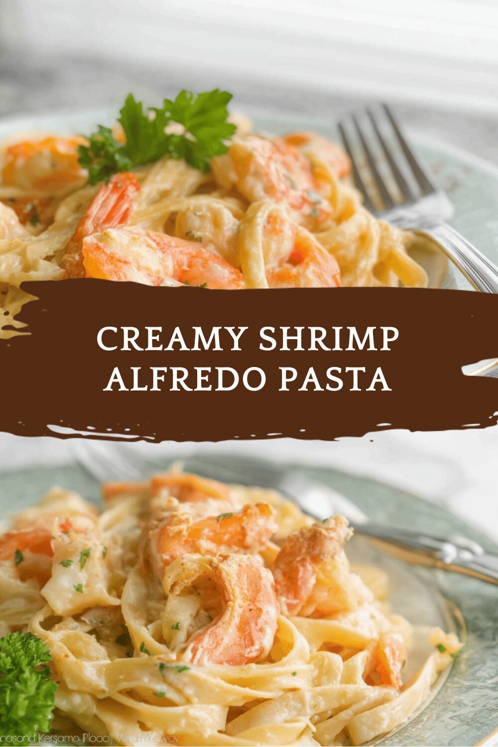 Creamy Shrimp Alfredo Pasta