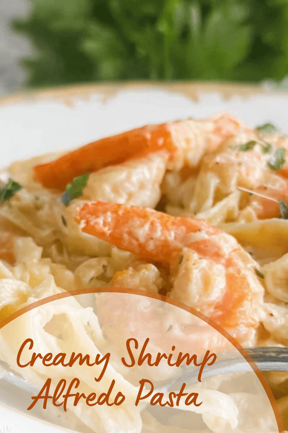 Creamy Shrimp Alfredo Pasta