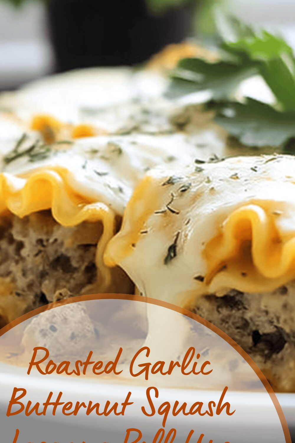 Roasted Garlic Butternut Squash Lasagna Roll Ups