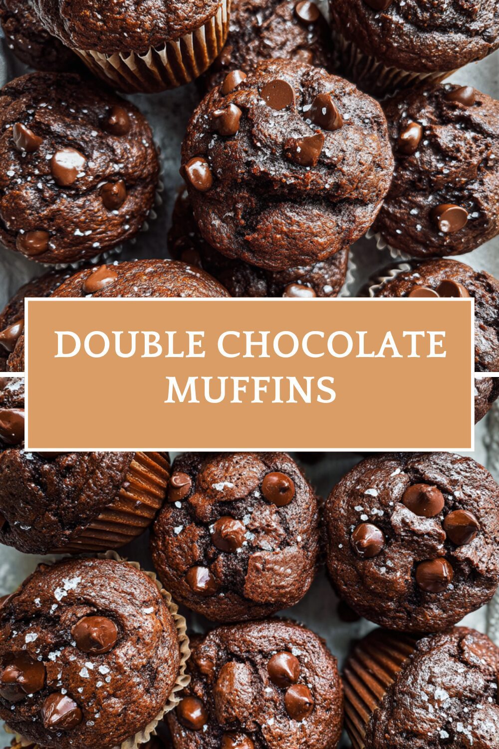 Double Chocolate Muffins