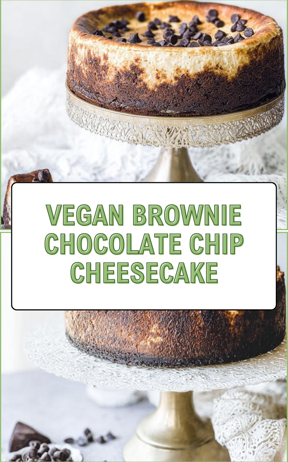 Vegan Brownie Chocolate Chip Cheesecake