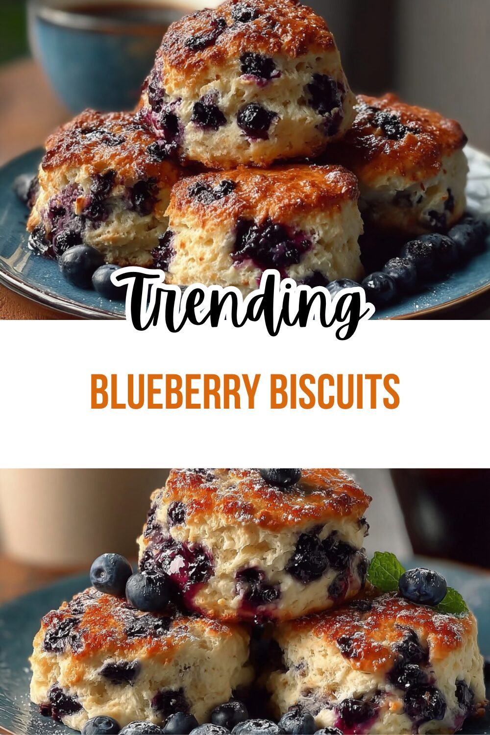 Blueberry Biscuits