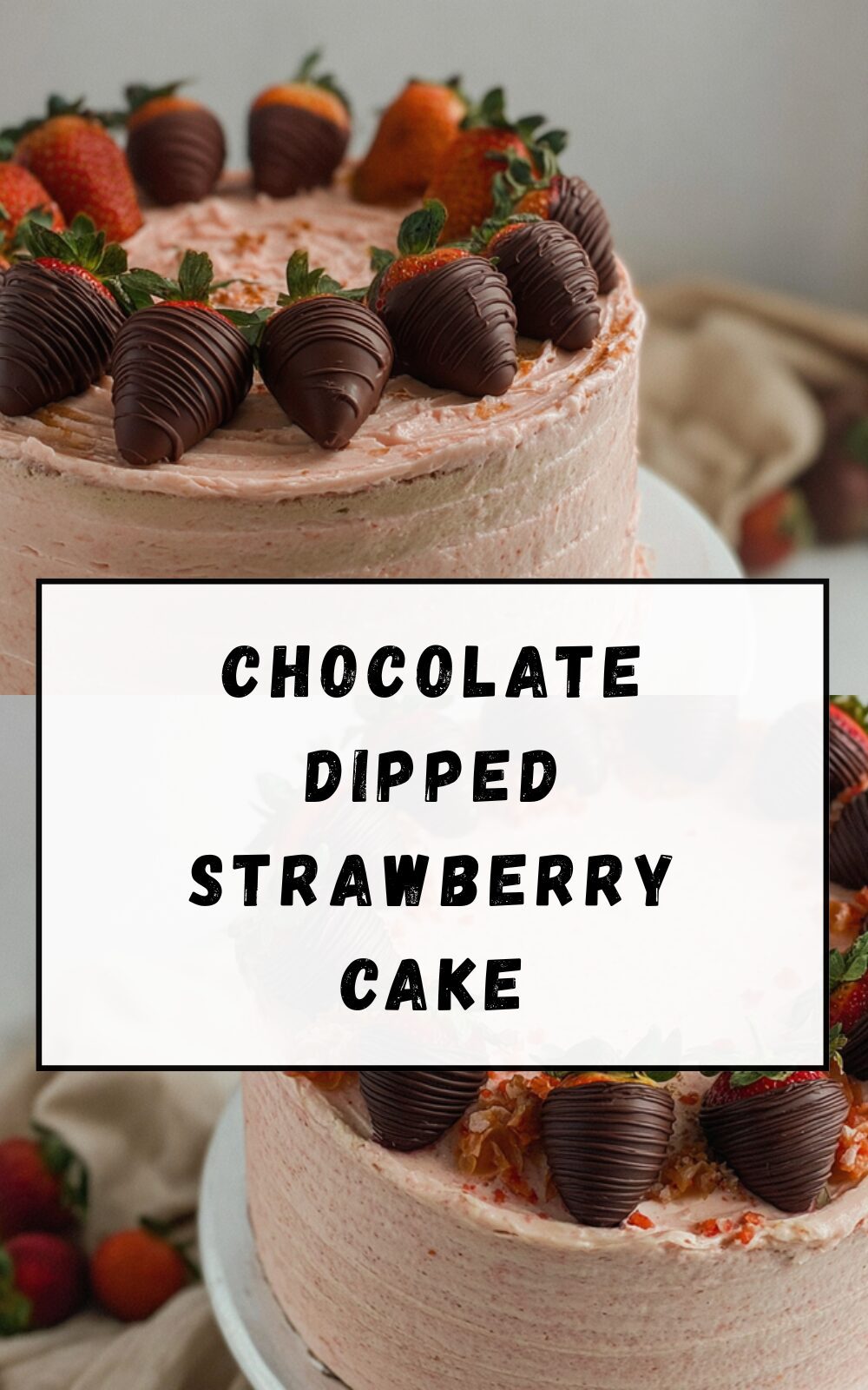 Chocolate Dipped Strawberry Cake