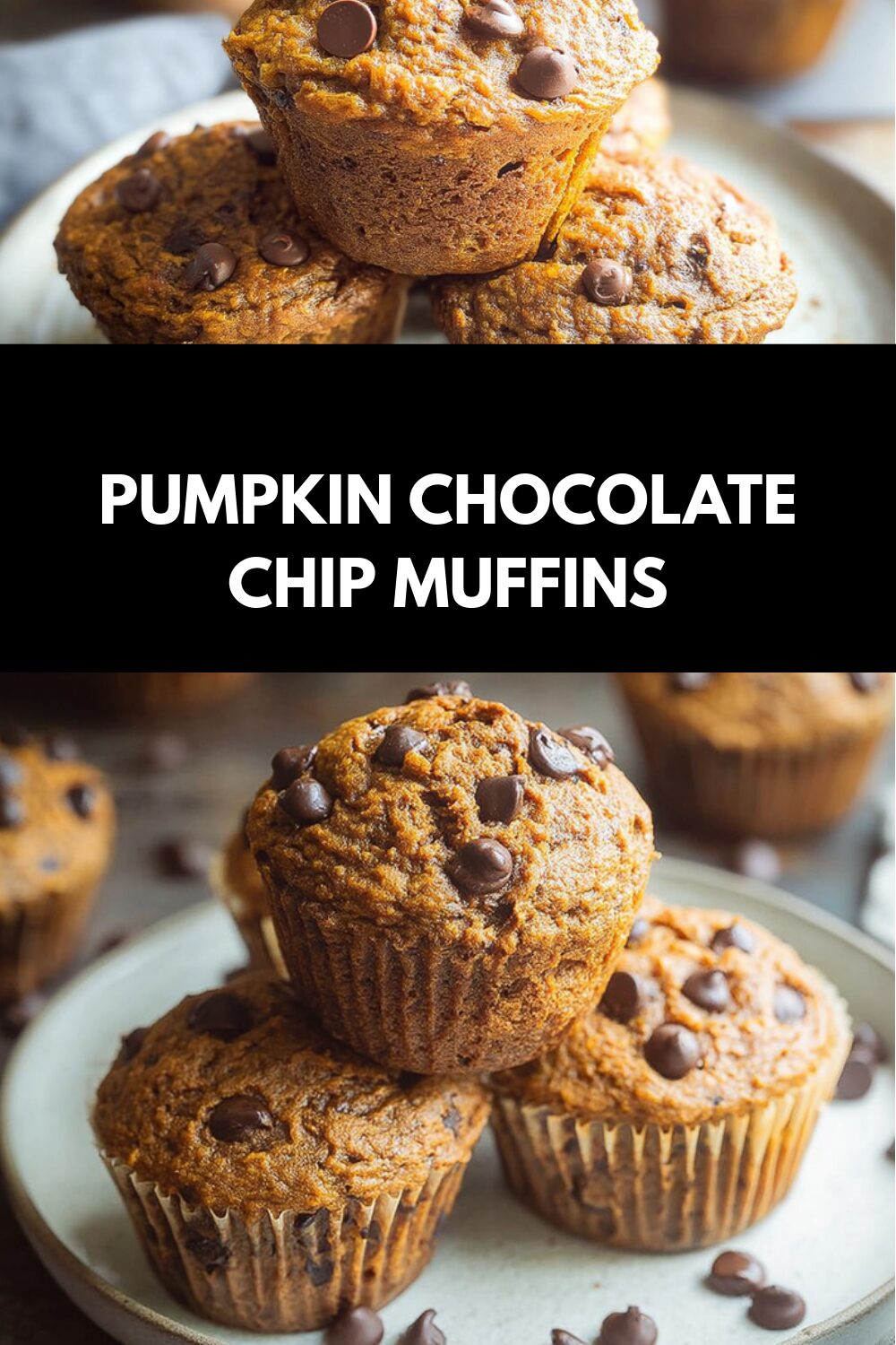 Pumpkin Chocolate Chip Muffins