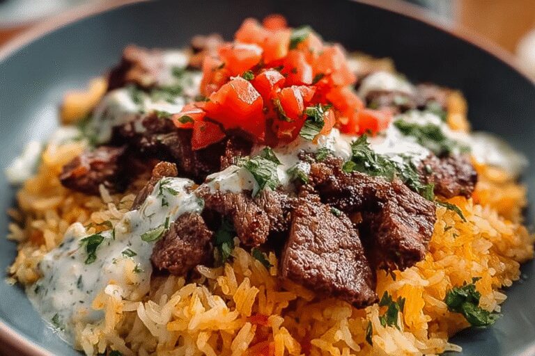 Steak Queso Rice 3.png