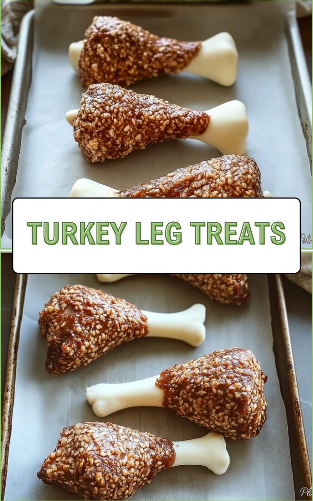 Turkey Leg Treats