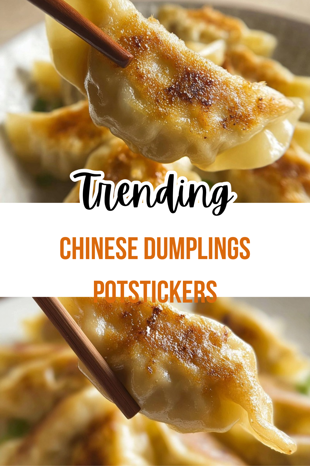 Chinese Dumplings Potstickers