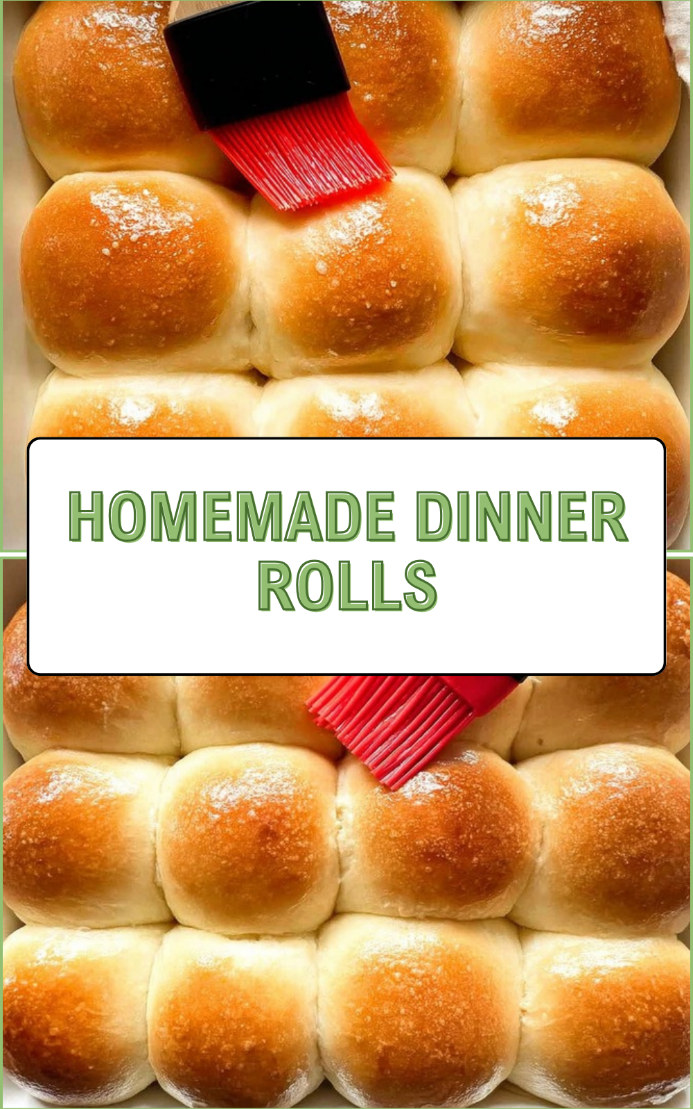 Homemade Dinner Rolls