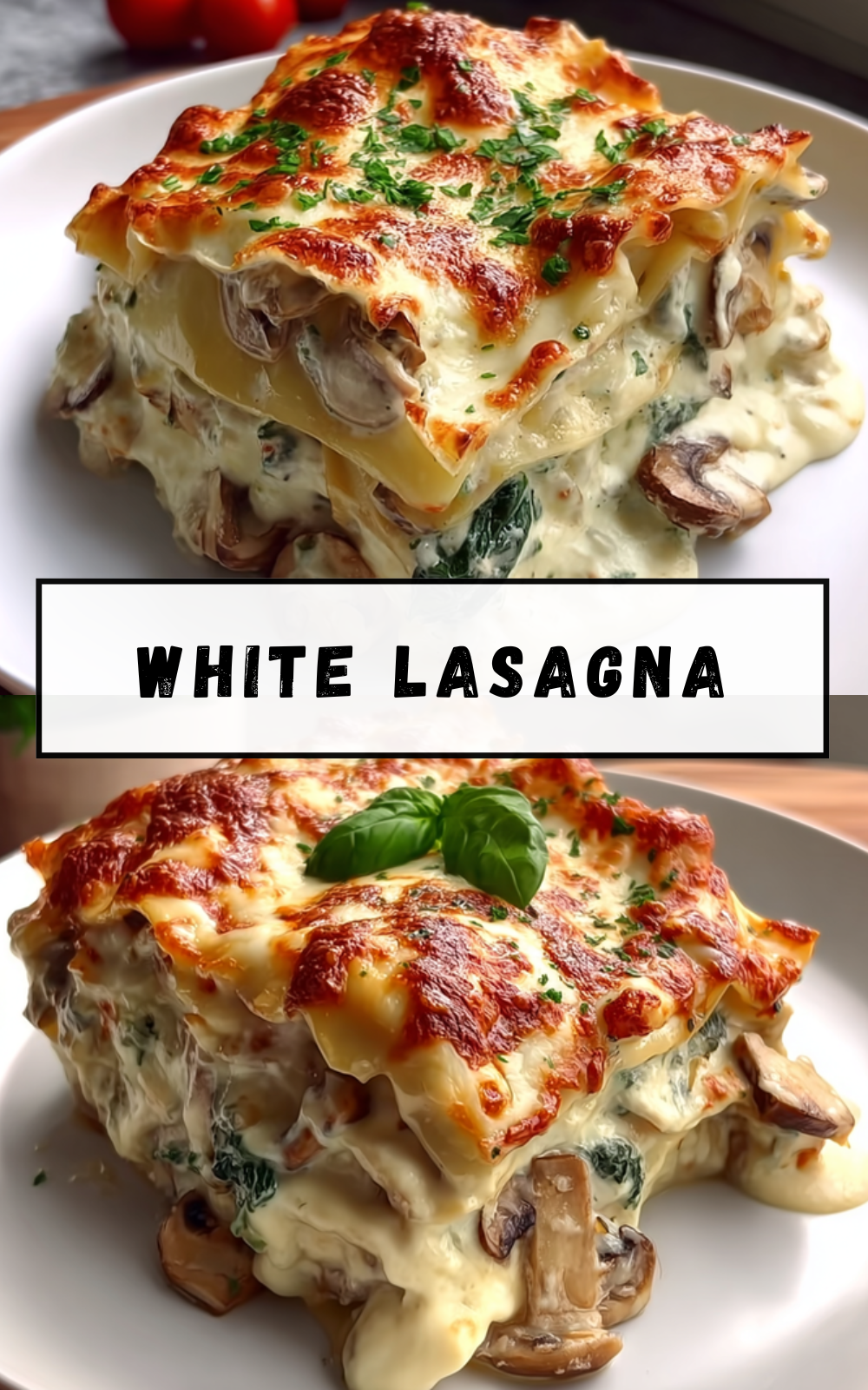 White Lasagna